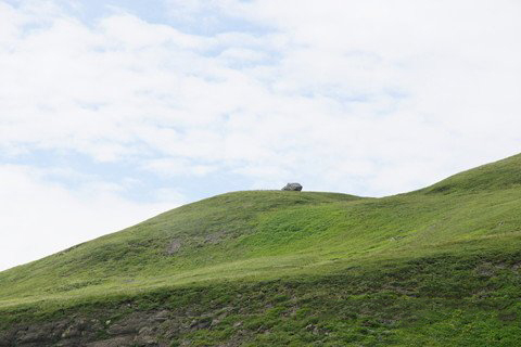 梦见山坡