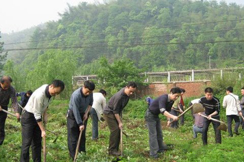 梦见锄草