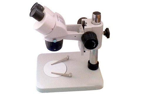梦见显微镜